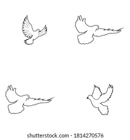 Bird wing Dove Logo Template vector illustration