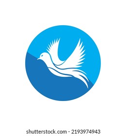 Bird wing dove logo template vector illustration