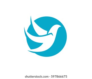 Bird wing Dove Logo Template vector illustration