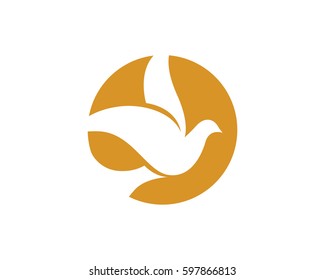 Bird wing Dove Logo Template vector illustration