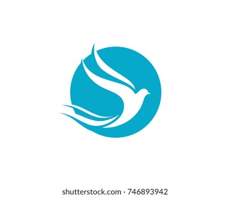 Bird wing Dove Logo Template vector illustration