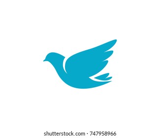 Bird wing Dove Logo Template vector illustration