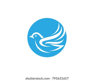 Bird wing Dove Logo Template vector illustration