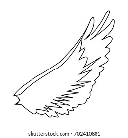 bird wing feathers dove animal