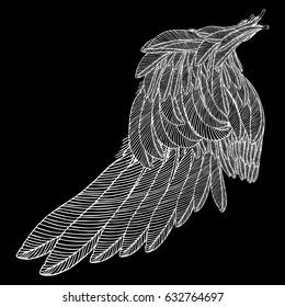 Bird wing. Hand drawn etched woodcut vintage style wing. Vector.