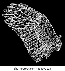 Bird wing. Hand drawn etched woodcut vintage style wing. Vector.