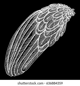 Bird wing. Hand drawn etched woodcut vintage style wing. Vector.