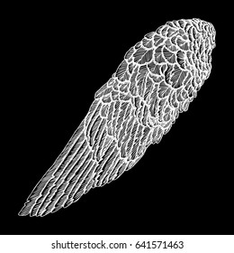 Bird wing. Hand drawn etched woodcut vintage style wing. Vector.