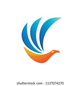 Bird and Wing Illustration Logo Template