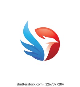Bird and wing logo design, eagle, hawk, falcon and circle vector icon