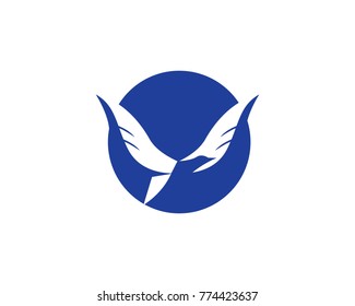 Bird wing Logo Template vector illustration