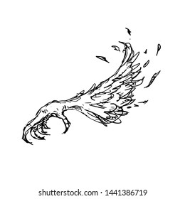 Bird wing sketch vector illustration