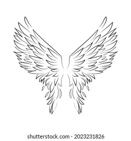 Bird wings, angel wings. Contour tatoo drawing on a white background.