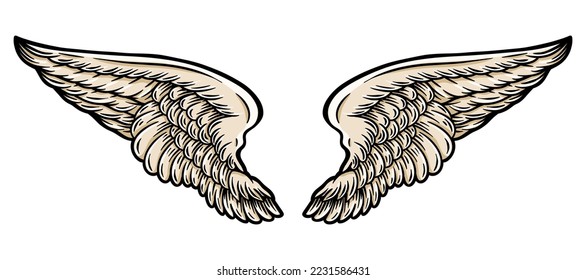 Bird wings with feathers - hand drawn - vector illustration