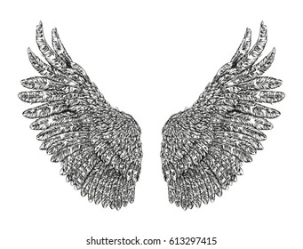 Bird wings hand drawn. Vector illustration isolated on white background