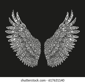 Bird wings hand drawn. Vector illustration on black background.