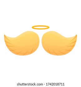 Bird wings icon. Cartoon of bird wings vector icon for web design isolated on white background