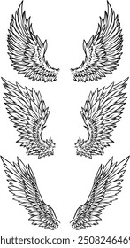 bird wings illustration in beautiful line art style