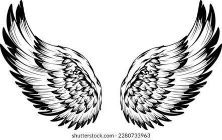 Bird wings illustration tattoo style. Hand drawn design element.