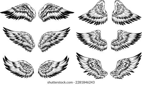 Bird wings illustration tattoo style. Hand drawn design element.