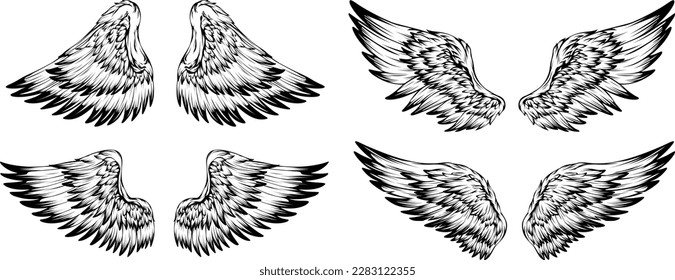 Bird wings illustration tattoo style. Hand drawn design element.
