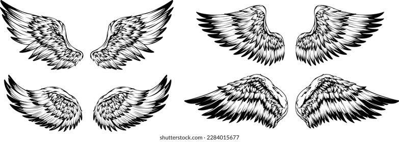 Bird wings illustration tattoo style. Hand drawn design element.