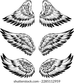 Bird wings illustration tattoo style. Hand drawn design element.