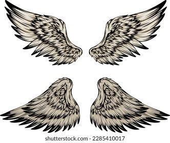 Bird wings illustration tattoo style. Hand drawn design element.