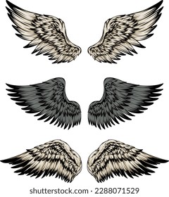 Bird wings illustration tattoo style. Hand drawn design element.