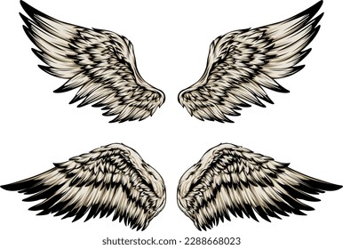 Bird wings illustration tattoo style. Hand drawn design element.