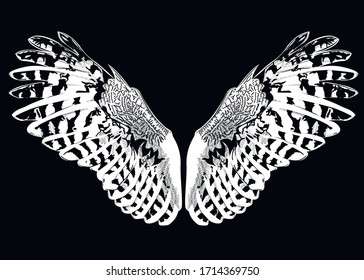 bird wings on a black background