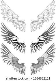 Bird wings set isolated on a white background. Vector illustration. Monochrome. 