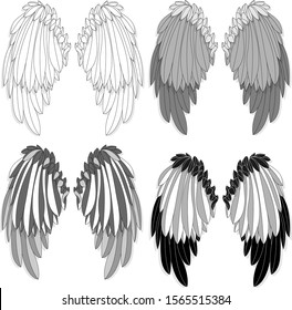 Bird wings set isolated on a white background. Vector illustration. Monochrome. 