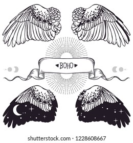 Bird wings. Vector hand drawn illustration