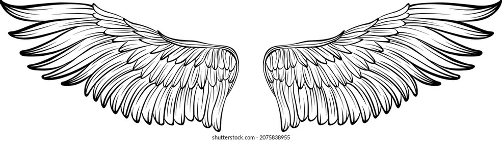 Estilo de tatuaje de ilustración vectorial de alas de pájaro. Elemento de diseño dibujado a mano.