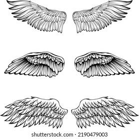 Estilo de tatuaje de ilustración vectorial de alas de pájaro. Elemento de diseño dibujado a mano.