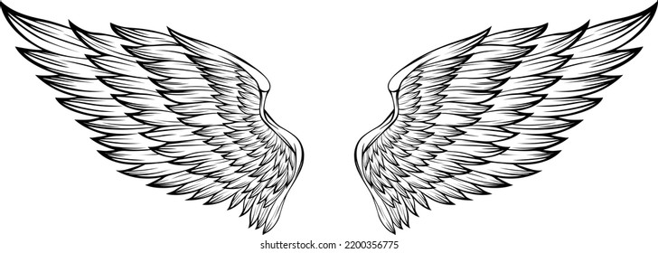 Bird wings vector illustration tattoo style. Hand drawn design element.