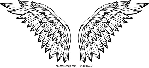 Bird wings vector illustration tattoo style. Hand drawn design element.