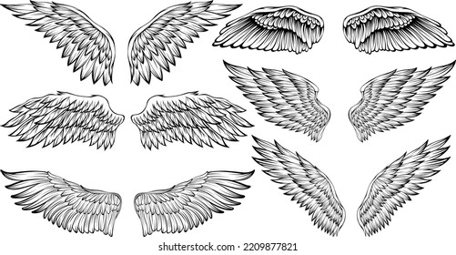 Vogelflügel, Vektorgrafik Tätowierungsstil. Handgezeichnetes Design-Element.