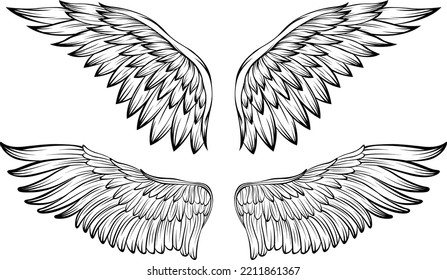 Bird wings vector illustration tattoo style. Hand drawn design element.