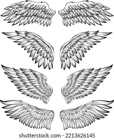 Bird wings vector illustration tattoo style. Hand drawn design element.