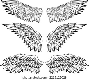 Bird wings vector illustration tattoo style. Hand drawn design element.