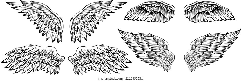 Bird wings vector illustration tattoo style. Hand drawn design element.