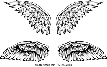 Bird wings vector illustration tattoo style. Hand drawn design element.