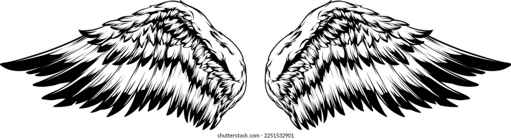 Bird wings vector illustration tattoo style. Hand drawn design element.