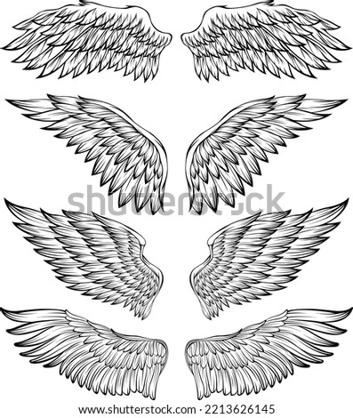 Bird wings vector illustration tattoo style. Hand drawn design element.