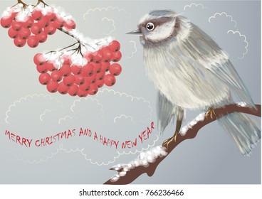 Bird and Winter Berries. Tomtit and rowan
