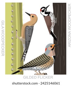 Pájaro carpintero Arizona Flicker Cartoon Vector