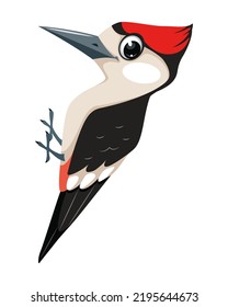 Bird woodpecker cartoon vector illustration in flat style