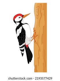 Bird woodpecker on tree vector cartoon illustration
